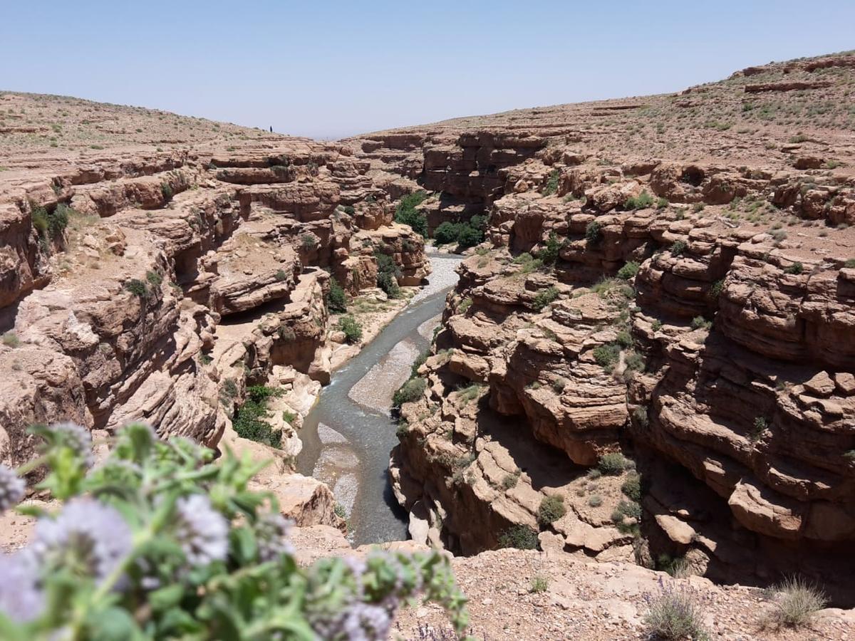 Готель Kasbah Izoran Мідельт Екстер'єр фото