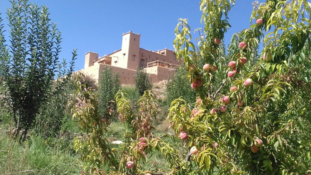 Готель Kasbah Izoran Мідельт Екстер'єр фото